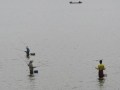 IMG_1992_resize