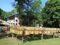 IMG_1586_resize