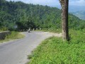 IMG_2434_resize