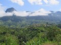 IMG_2440_resize