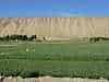 Threatening over the lush valley stand the earthen cliffs