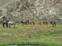 Kyrgyzstan - Paradise