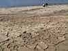 Interspersed with sun-baked mud flats