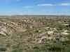 First views of the grasslands of Inner Mongolia - pretty barren, heaps of erosion
