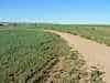 Better here, sure makes a change from the vast expanse of desert we seem to have been in for ever