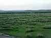 Walls of the township in the distance