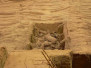 Terracotta Warriors, Xian