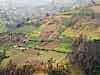 Evey inch cultivated ...