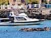 Sea lions are so ubiquitou they make them there own rafts - otherwise they encamp on the decks of moored boats