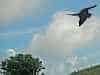 Frigate birds or two tails are endemic to Galapagos