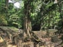Cichen Itza & Pelanque