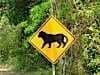 One of many black cats we saw in the National Park
