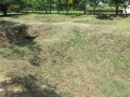 IMG_3384_resize.JPG