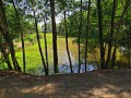 Killin-fields-cambodiaIMG_3375_resize.jpg