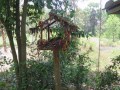 Killin-fields-cambodiaIMG_3386_resize.jpg