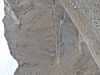 afg