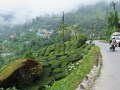 West_bangal_IMG_1362_resize
