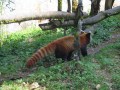 West_bangal_IMG_1411_resize