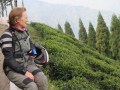 West_bangal_IMG_1444_resize